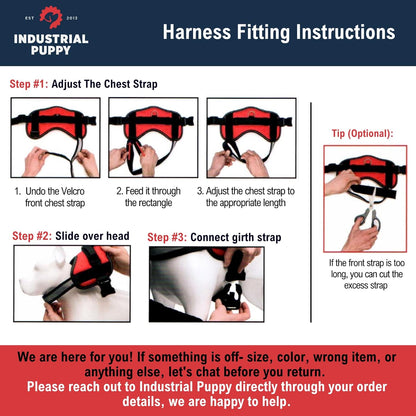 Service Dog Vest with Hook and Loop Straps & Matching Leash Set - Harnesses from XXS to XXL - Service Dog Harness Features Reflective Patch and Comfortable Mesh Design (Pink, XXS) | Durable & Adjustable Vest for Dog, Reflective Straps, Removable Patches, Matching Leash Set, Handle & D-Ring, Daily Use