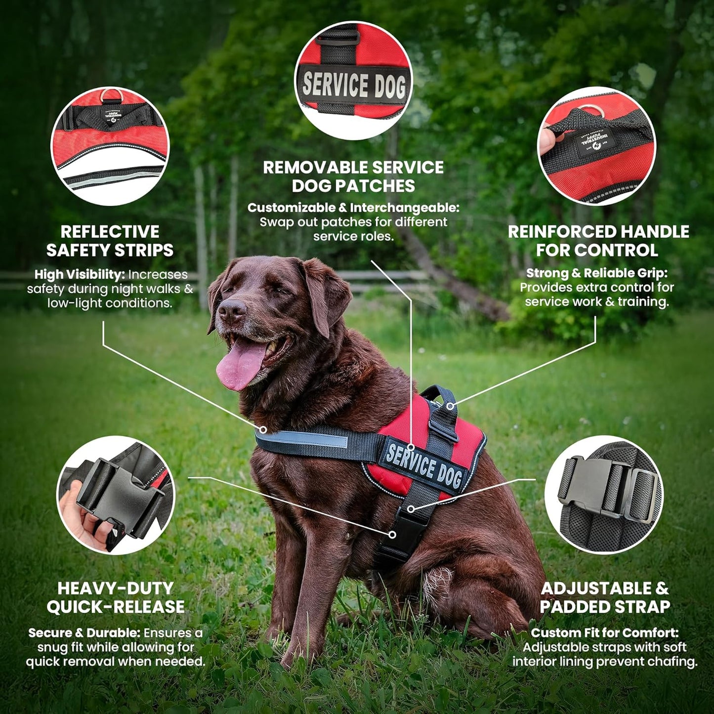 Service Dog Vest with Hook and Loop Straps & Matching Leash Set - Harnesses from XXS to XXL - Service Dog Harness Features Reflective Patch and Comfortable Mesh Design (Pink, XXS) | Durable & Adjustable Vest for Dog, Reflective Straps, Removable Patches, Matching Leash Set, Handle & D-Ring, Daily Use