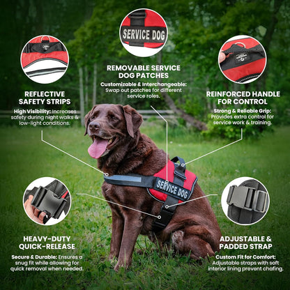 Service Dog Vest with Hook and Loop Straps & Matching Leash Set - Harnesses from XXS to XXL - Service Dog Harness Features Reflective Patch and Comfortable Mesh Design (Pink, XXS) | Durable & Adjustable Vest for Dog, Reflective Straps, Removable Patches, Matching Leash Set, Handle & D-Ring, Daily Use