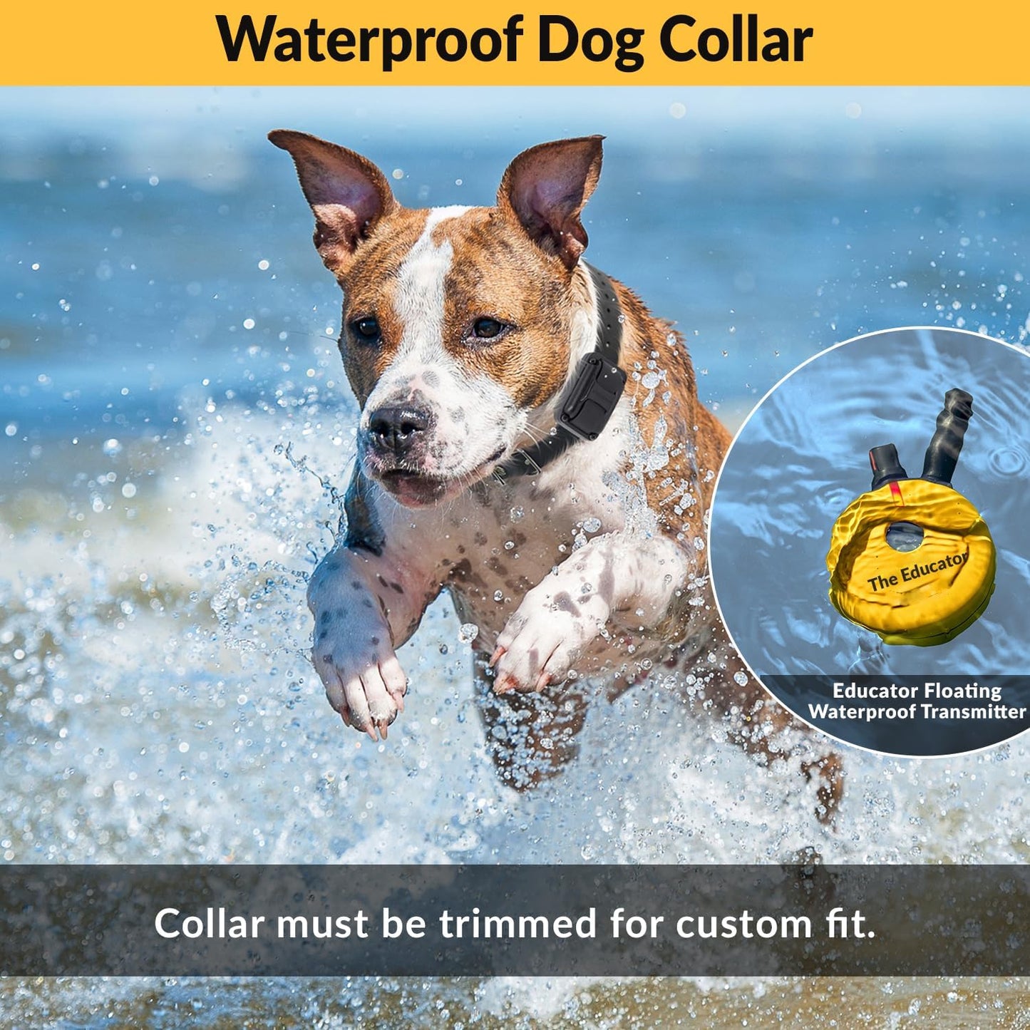 E-Collar  ET-402 Dog Training Collar, 2 Dog System, Yellow | Humane with Remote, 100 Safe Tapping Stimulation Levels, Waterproof Rechargeable, 3/4 Mile Range