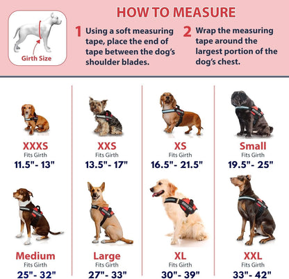 Service Dog Vest with Hook and Loop Straps & Matching Leash Set - Harnesses from XXS to XXL - Service Dog Harness Features Reflective Patch and Comfortable Mesh Design (Pink, XXS) | Durable & Adjustable Vest for Dog, Reflective Straps, Removable Patches, Matching Leash Set, Handle & D-Ring, Daily Use
