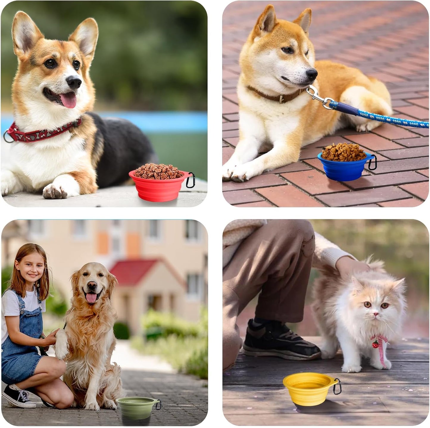 2-Pack Silicone Collapsible Dog Bowls, BPA Free Dishwasher Safe, Portable Foldable Expandable Travel Bowl, Food Water Feeding Cup Dish for Dogs Cats with 2 Carabiners (Army Green, Blue) | 20 Oz, Silicone, Foldable Expandable Cat Feeding Cup Dish, 2 Carabiners, BPA Free, Dishwasher Safe (Army Green, Blue)