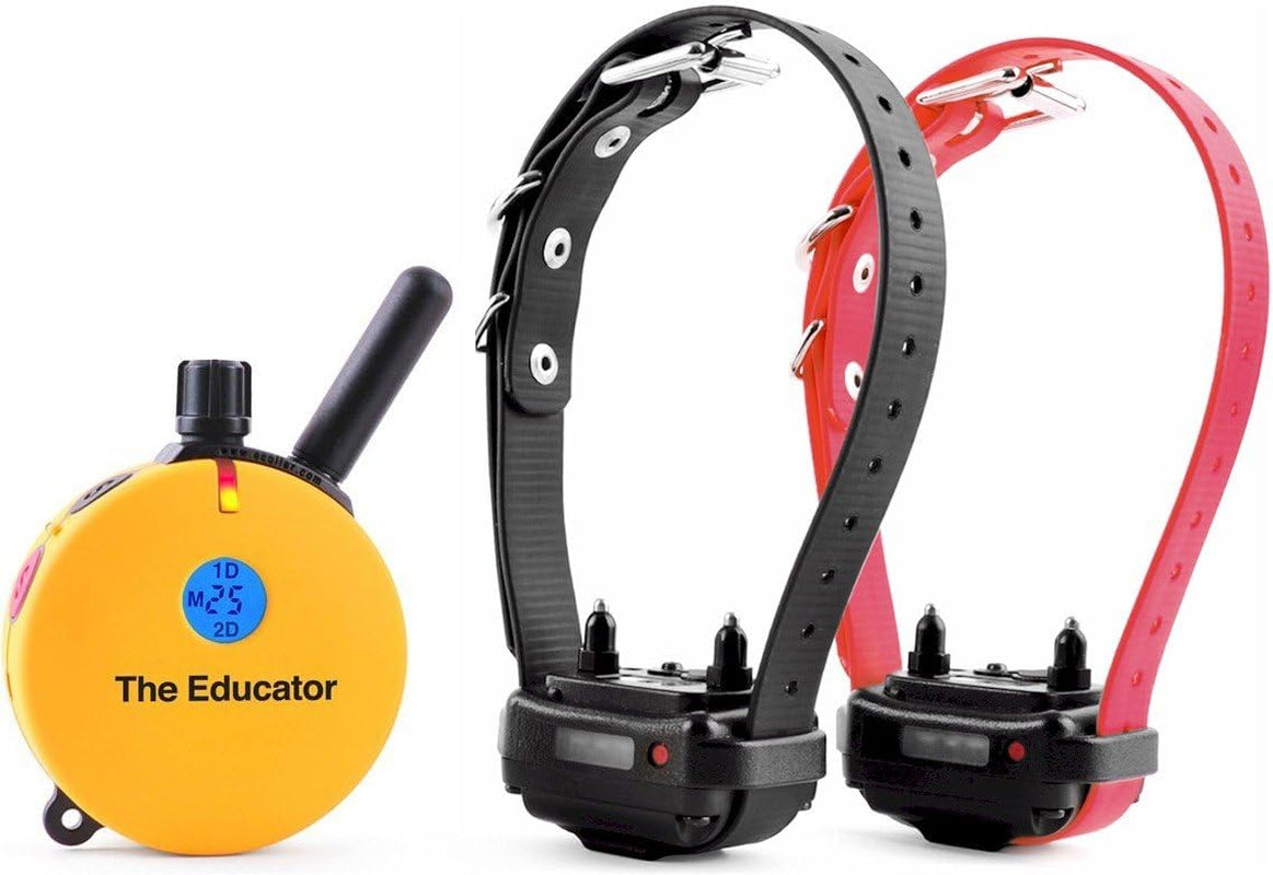 E-Collar  ET-402 Dog Training Collar, 2 Dog System, Yellow | Humane with Remote, 100 Safe Tapping Stimulation Levels, Waterproof Rechargeable, 3/4 Mile Range