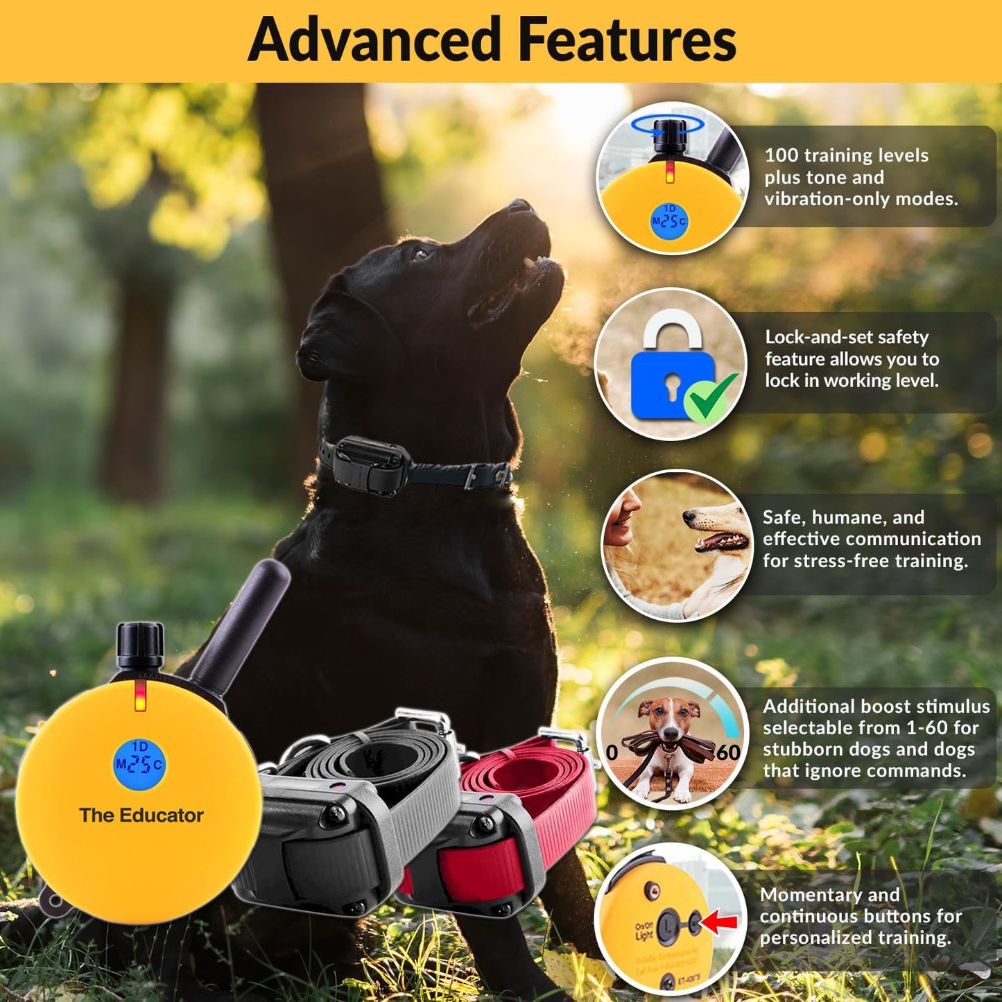 E-Collar  ET-402 Dog Training Collar, 2 Dog System, Yellow | Humane with Remote, 100 Safe Tapping Stimulation Levels, Waterproof Rechargeable, 3/4 Mile Range