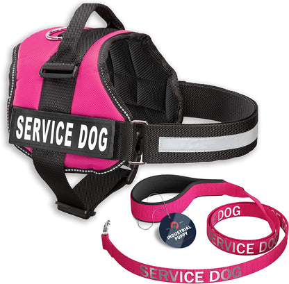 Service Dog Vest with Hook and Loop Straps & Matching Leash Set - Harnesses from XXS to XXL - Service Dog Harness Features Reflective Patch and Comfortable Mesh Design (Pink, XXS) | Durable & Adjustable Vest for Dog, Reflective Straps, Removable Patches, Matching Leash Set, Handle & D-Ring, Daily Use
